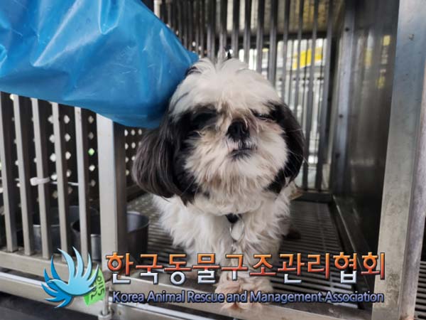 한국동물구조관리협회_441406202500029