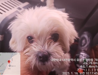 대전동물보호센터_430367202500021