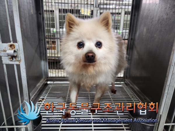한국동물구조관리협회_441560202500038