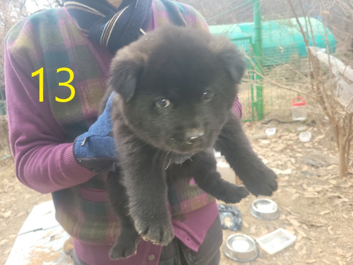 신영재동물병원_428355202500013