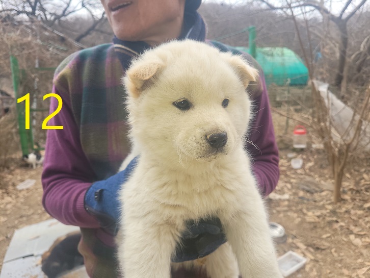 신영재동물병원_428355202500012