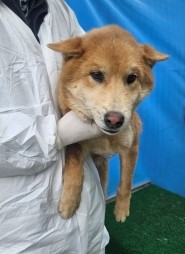 제주 동물보호센터_450650202500139