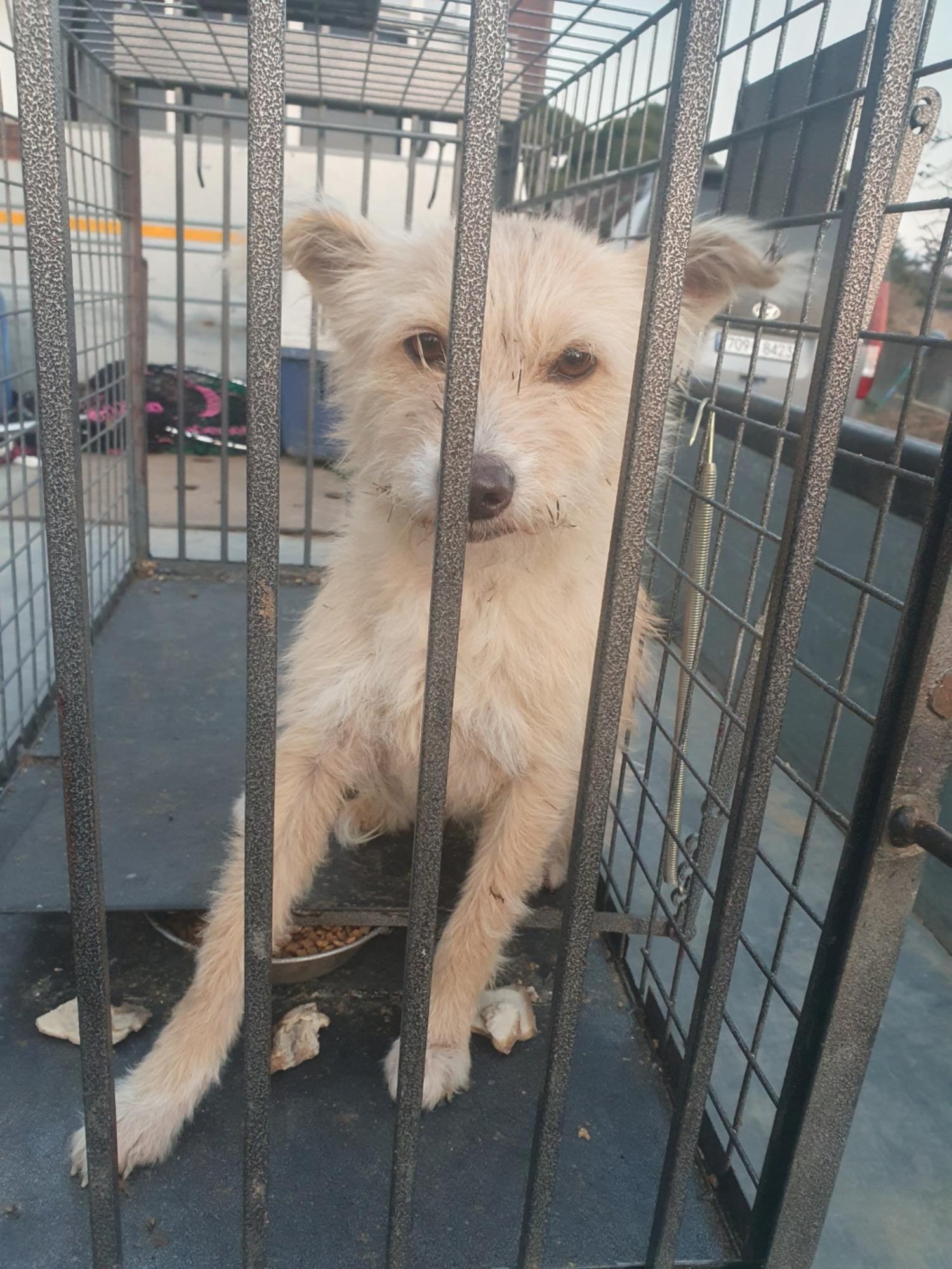 학교임시동물보호센터_446496202500030