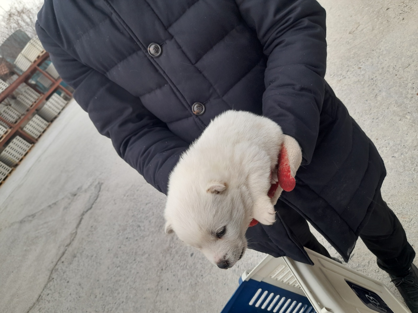 금왕동물병원_443447202500071