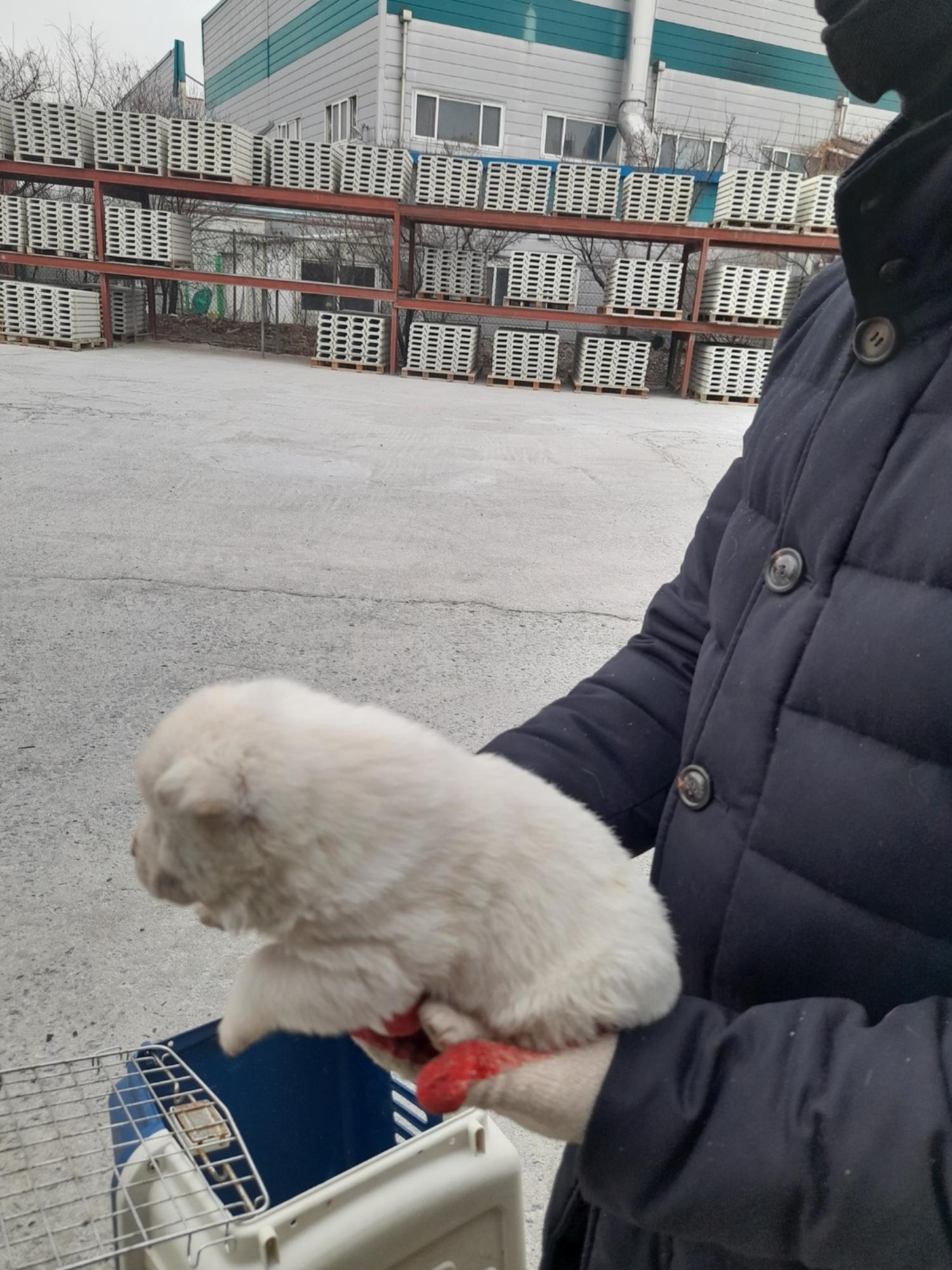 금왕동물병원_443447202500072