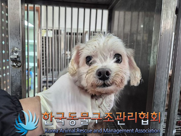 한국동물구조관리협회_441409202500038