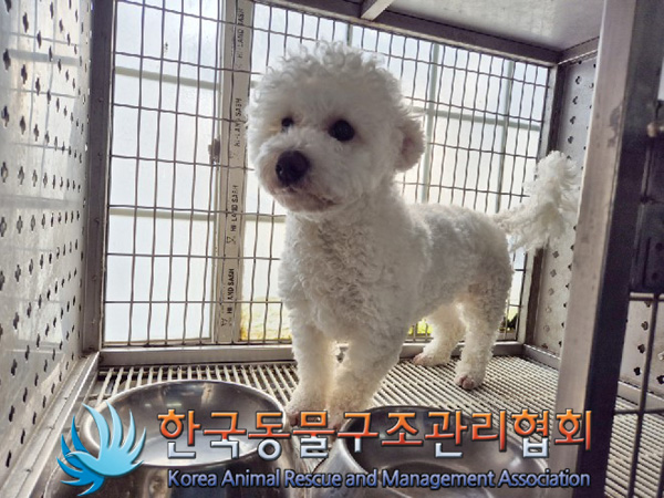 한국동물구조관리협회_441406202500031
