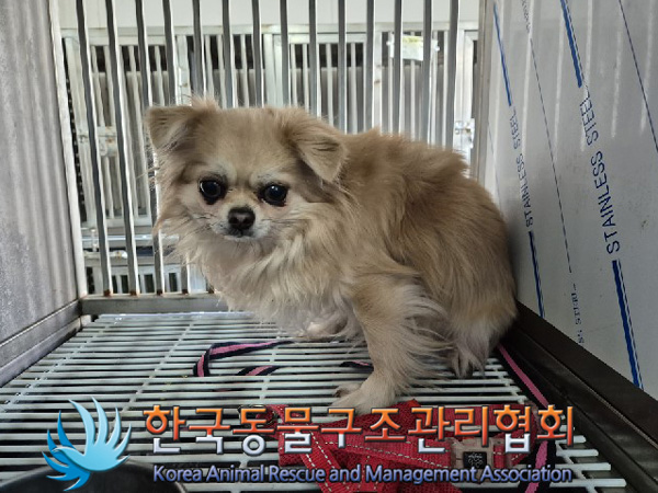 한국동물구조관리협회_411311202500007