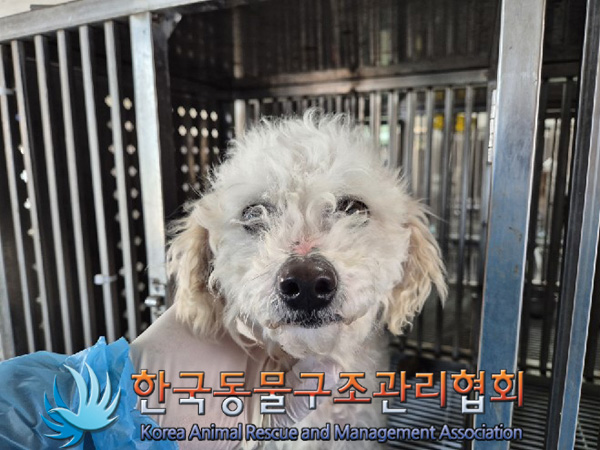 한국동물구조관리협회_441414202500009