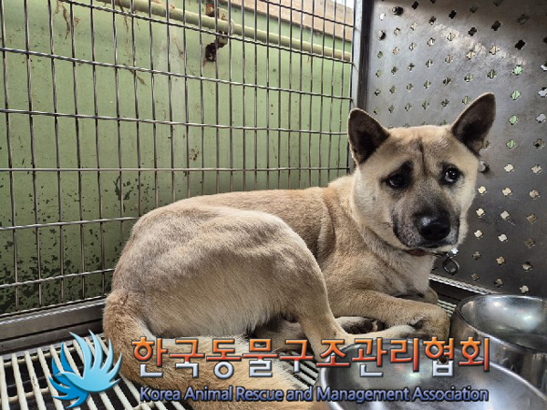 한국동물구조관리협회_441560202500040