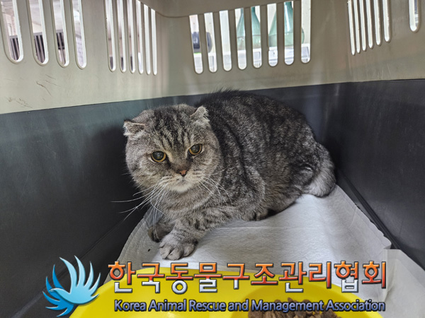 한국동물구조관리협회_441382202500010