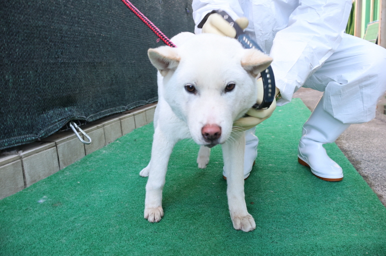 제주 동물보호센터_450650202500151