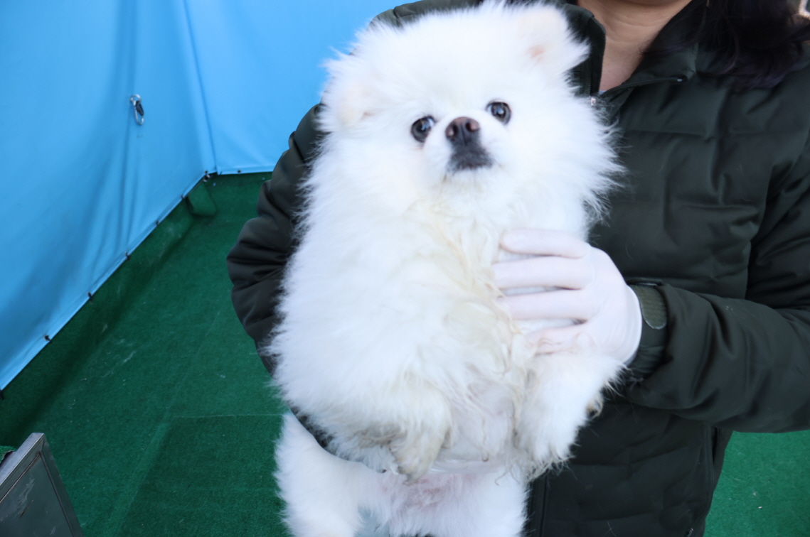 제주 동물보호센터_450650202500150