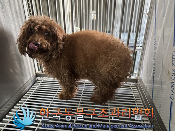 한국동물구조관리협회_411318202500005