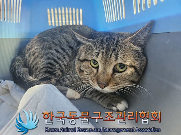 한국동물구조관리협회_441382202500012