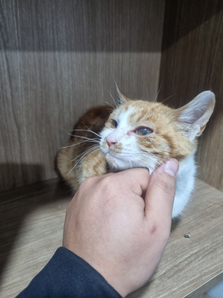 군위종합동물병원_427514202500019
