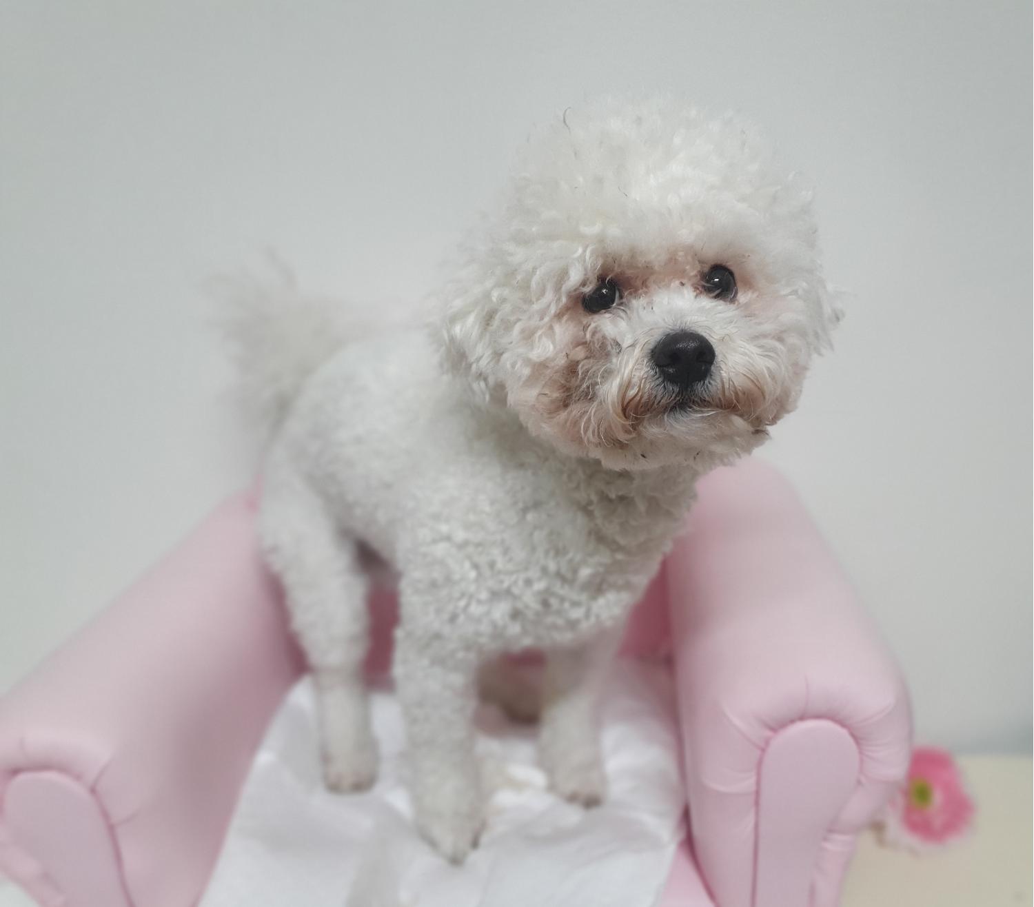 창원유기동물보호소_448567202500040