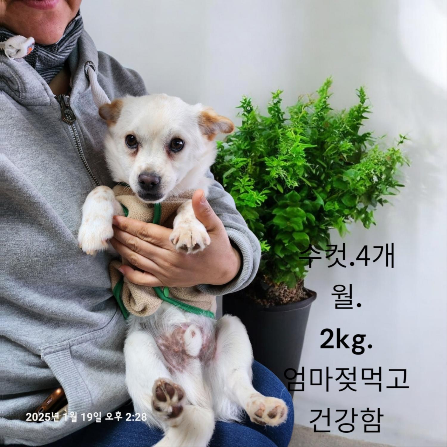 성주유기동물보호센터_447521202500045