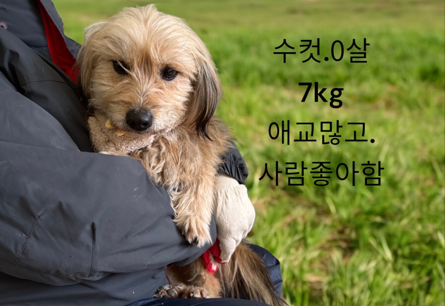 성주유기동물보호센터_447521202500043