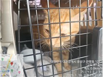 종료(반환) 코숏의…