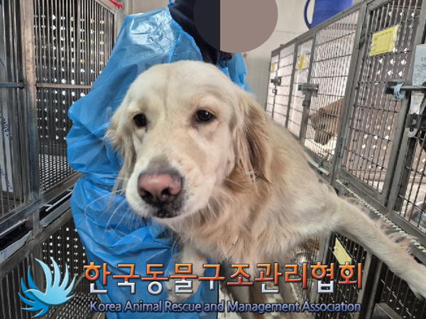 한국동물구조관리협회_441560202500042