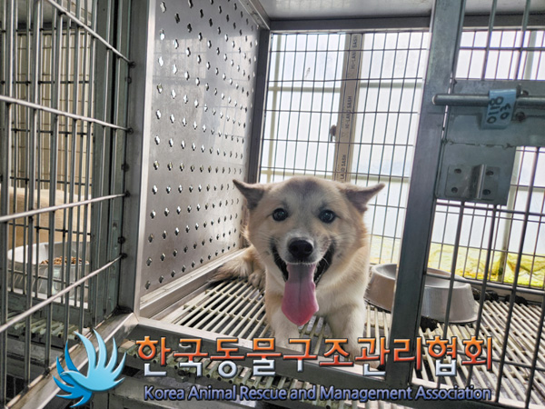 한국동물구조관리협회_441382202500013