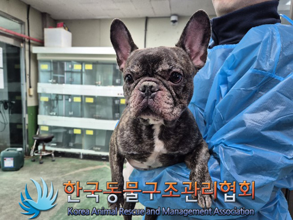 종료(반환) 프렌치…
