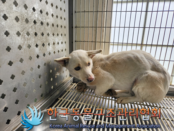 한국동물구조관리협회_441414202500012