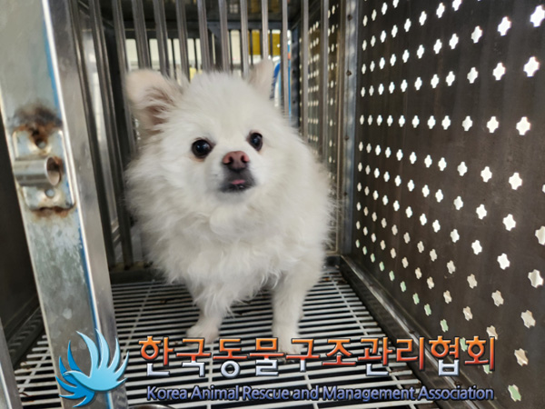 한국동물구조관리협회_441392202500005