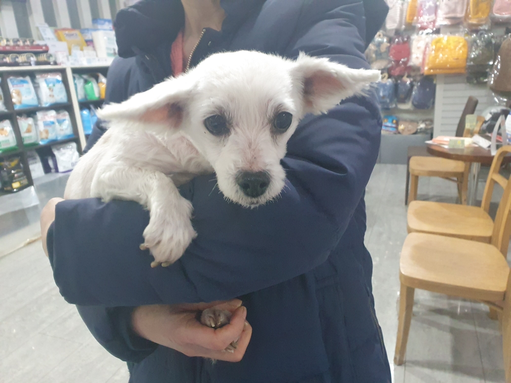 펫앤쉘터동물병원_441378202500022