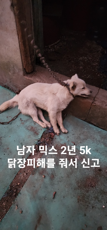 옥천동물병원_443443202500023