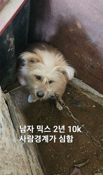 옥천동물병원_443443202500020