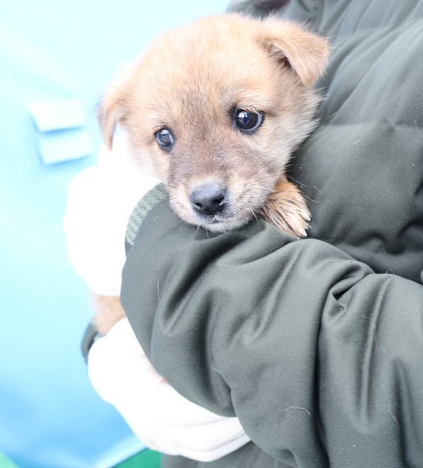 제주 동물보호센터_450650202500157