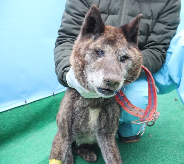 제주 동물보호센터_450650202500172