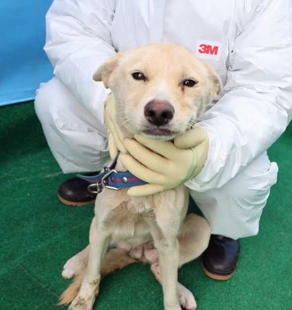제주 동물보호센터_450650202500158