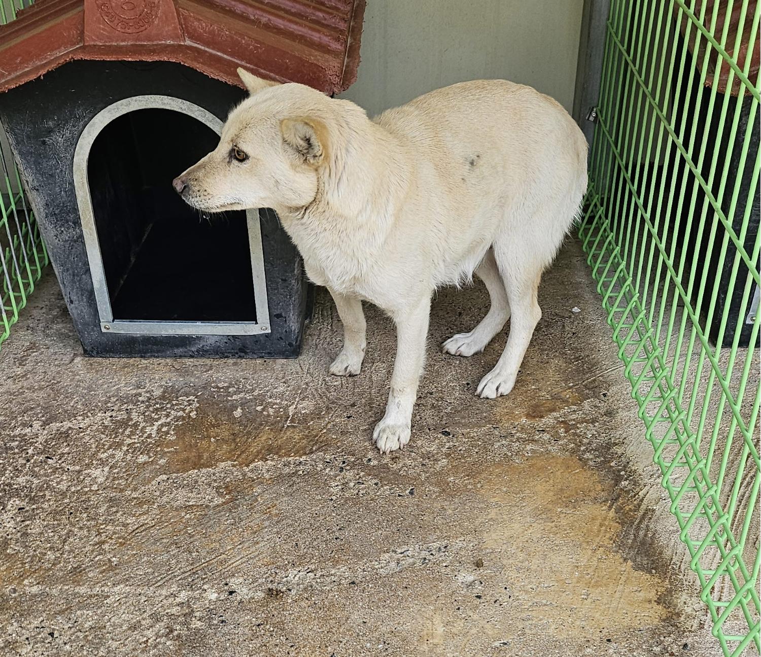 울진군동물보호센터_447525202500016