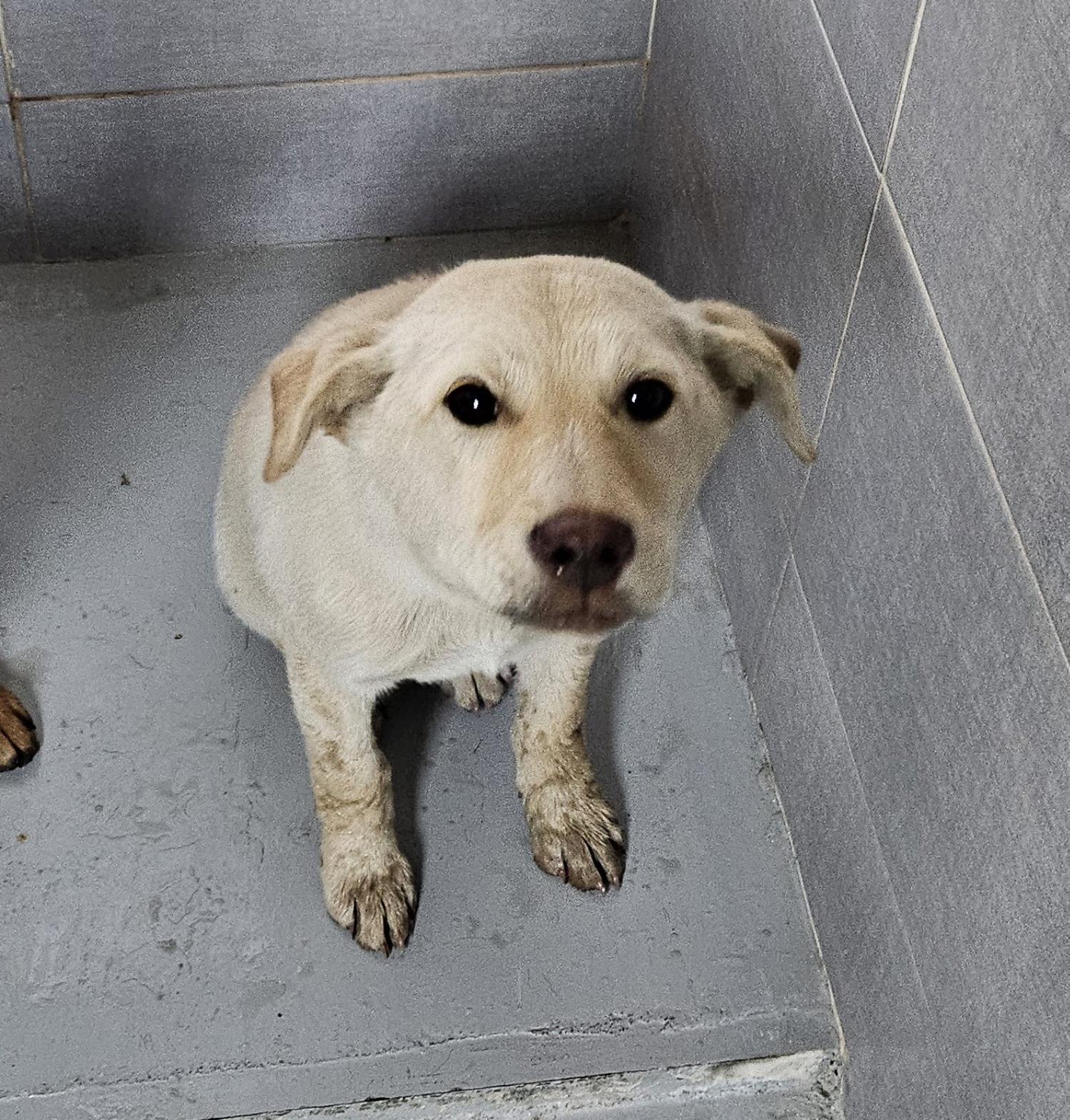울진군동물보호센터_447525202500020