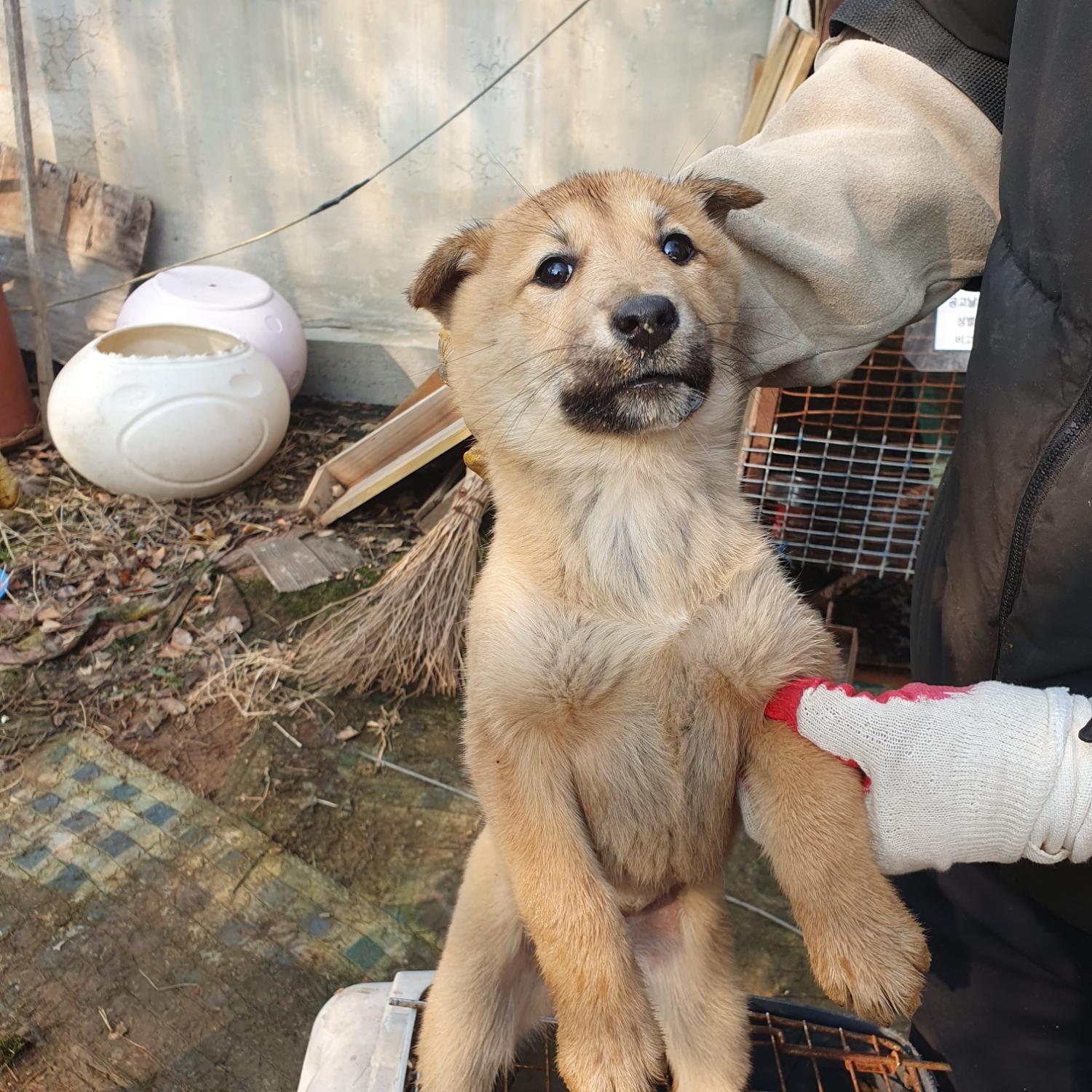 전북말산업복합센터_445471202500015