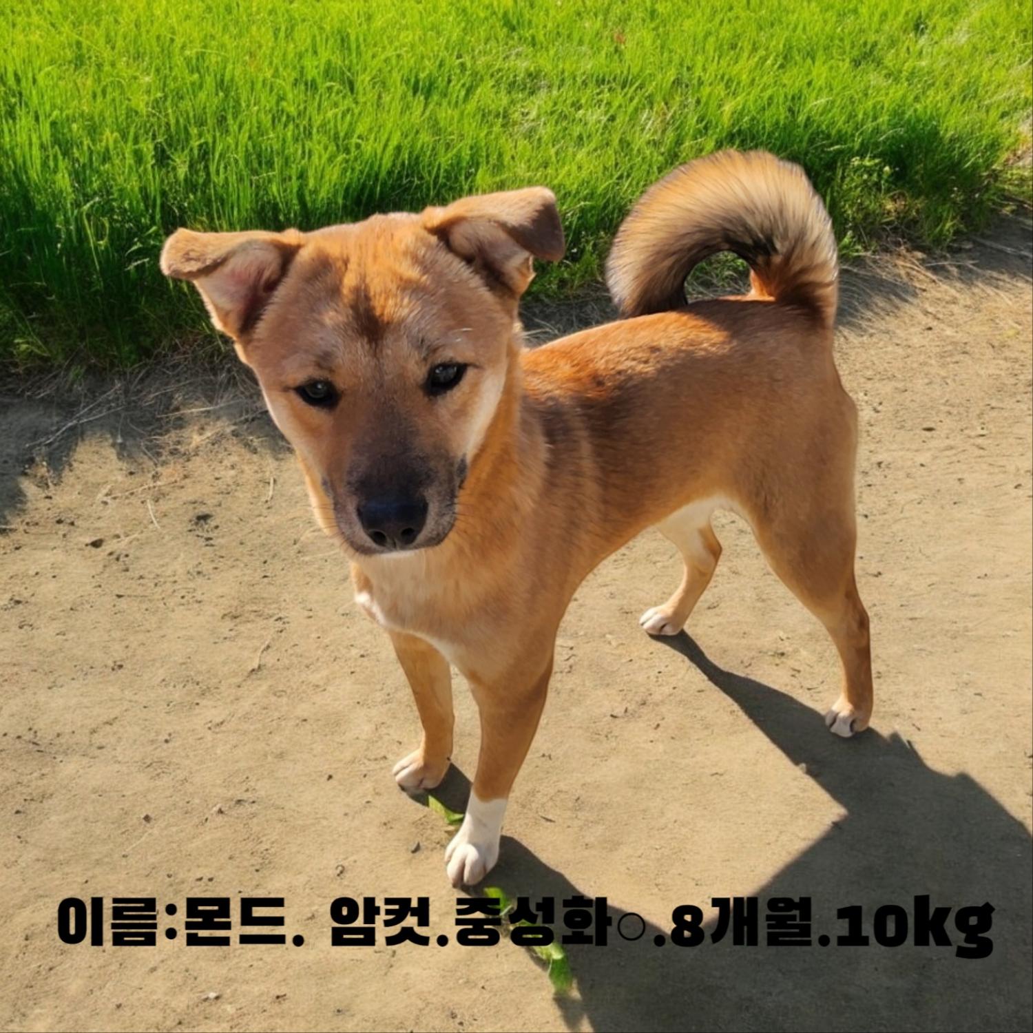 성주유기동물보호센터_447521202500048