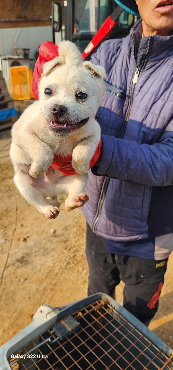 전북말산업복합센터_445471202500014