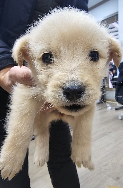 금일동물보호센터_444460202500032