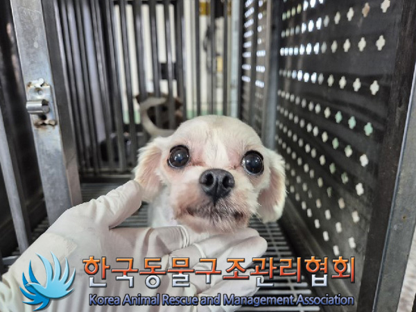 한국동물구조관리협회_441392202500006