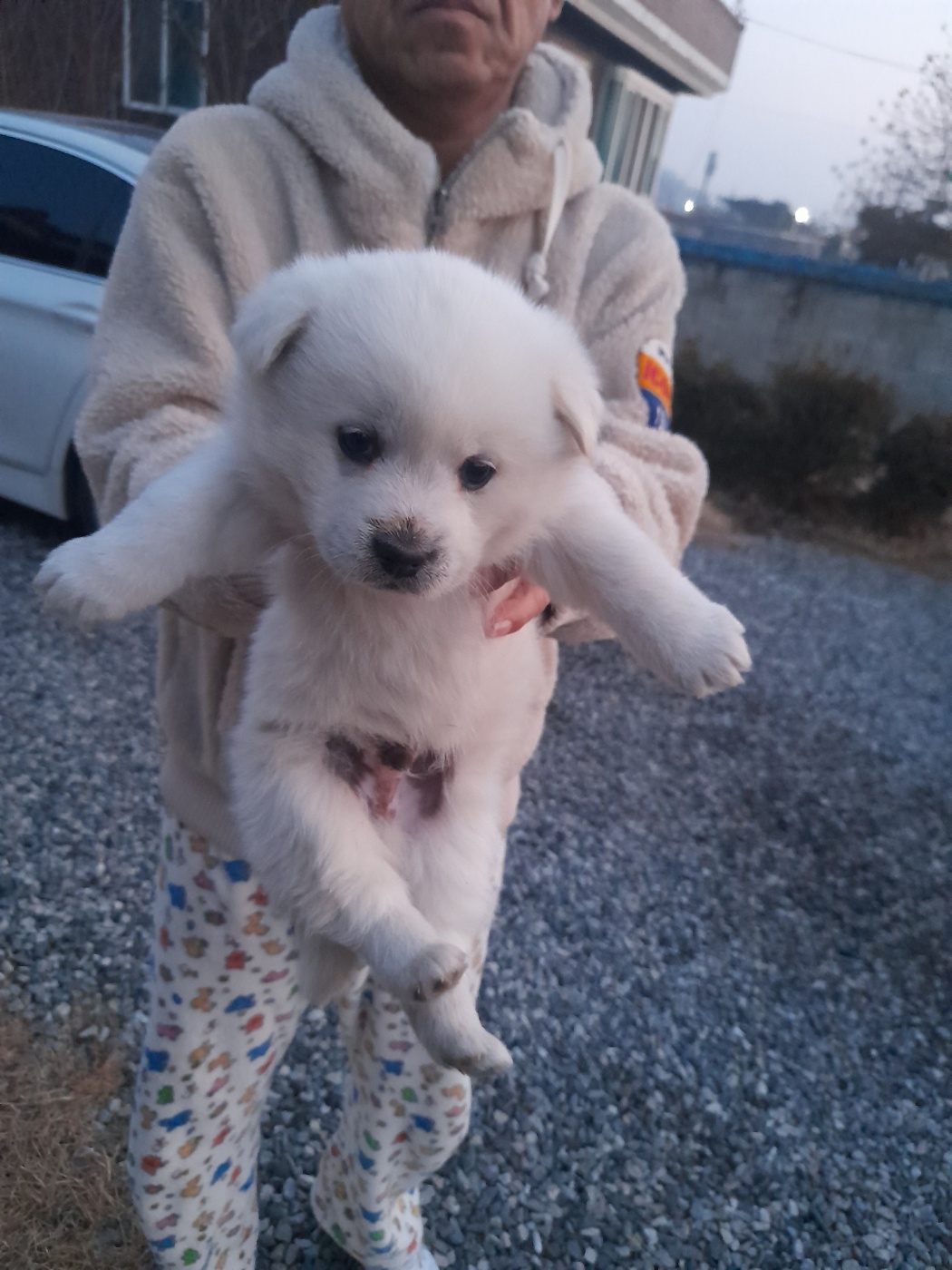 금왕동물병원_443447202500082
