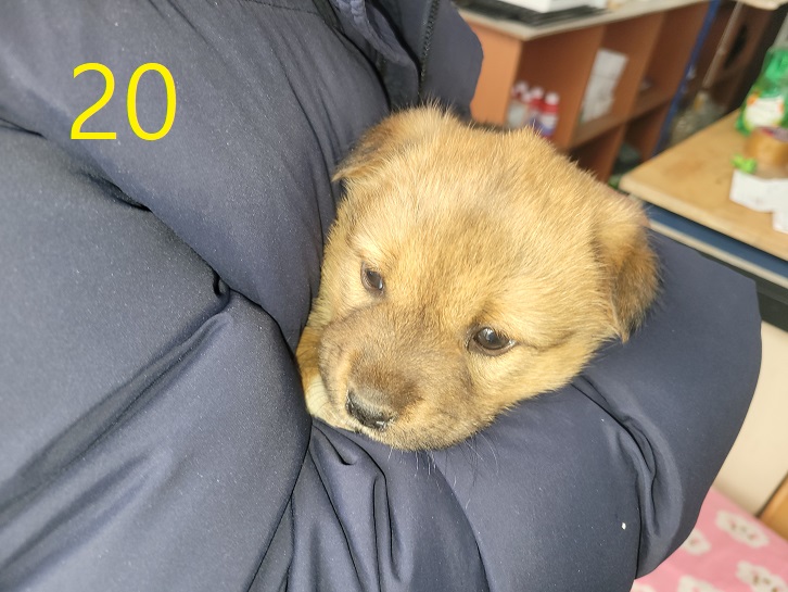 신영재동물병원_428355202500019