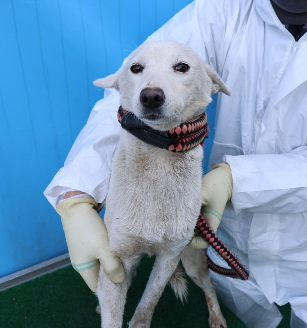 제주 동물보호센터_450650202500192