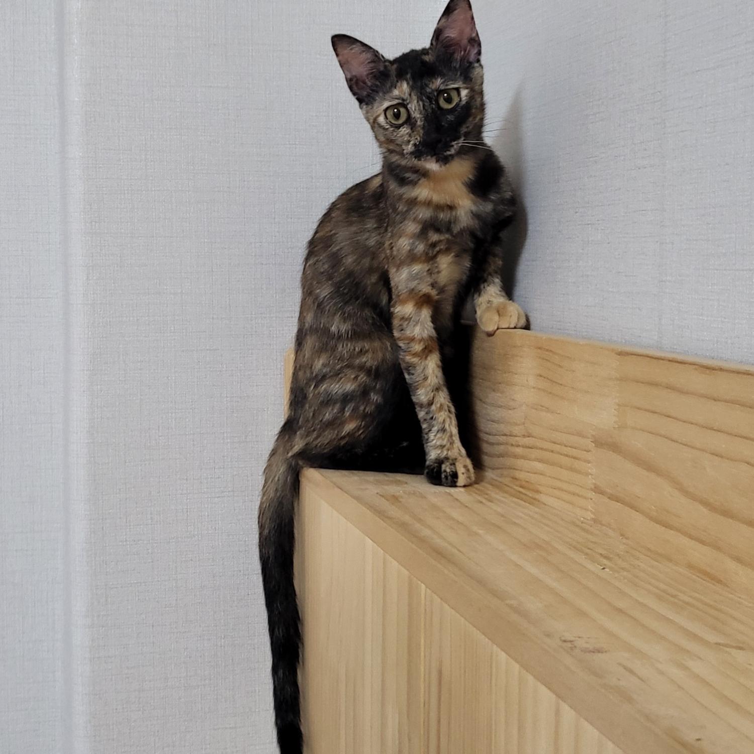 동대문구청_411305202500010
