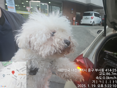 대전동물보호센터_430365202500010