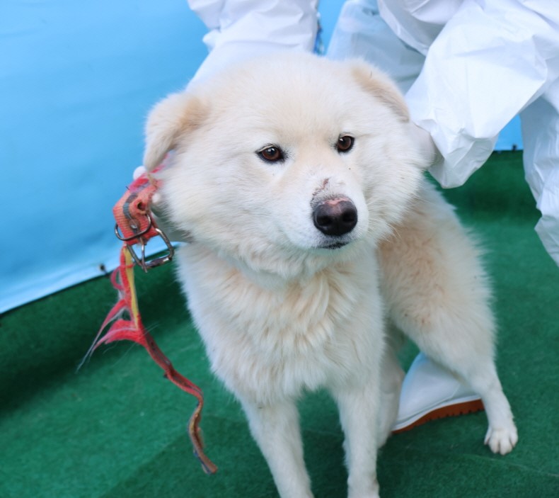제주 동물보호센터_450650202500197