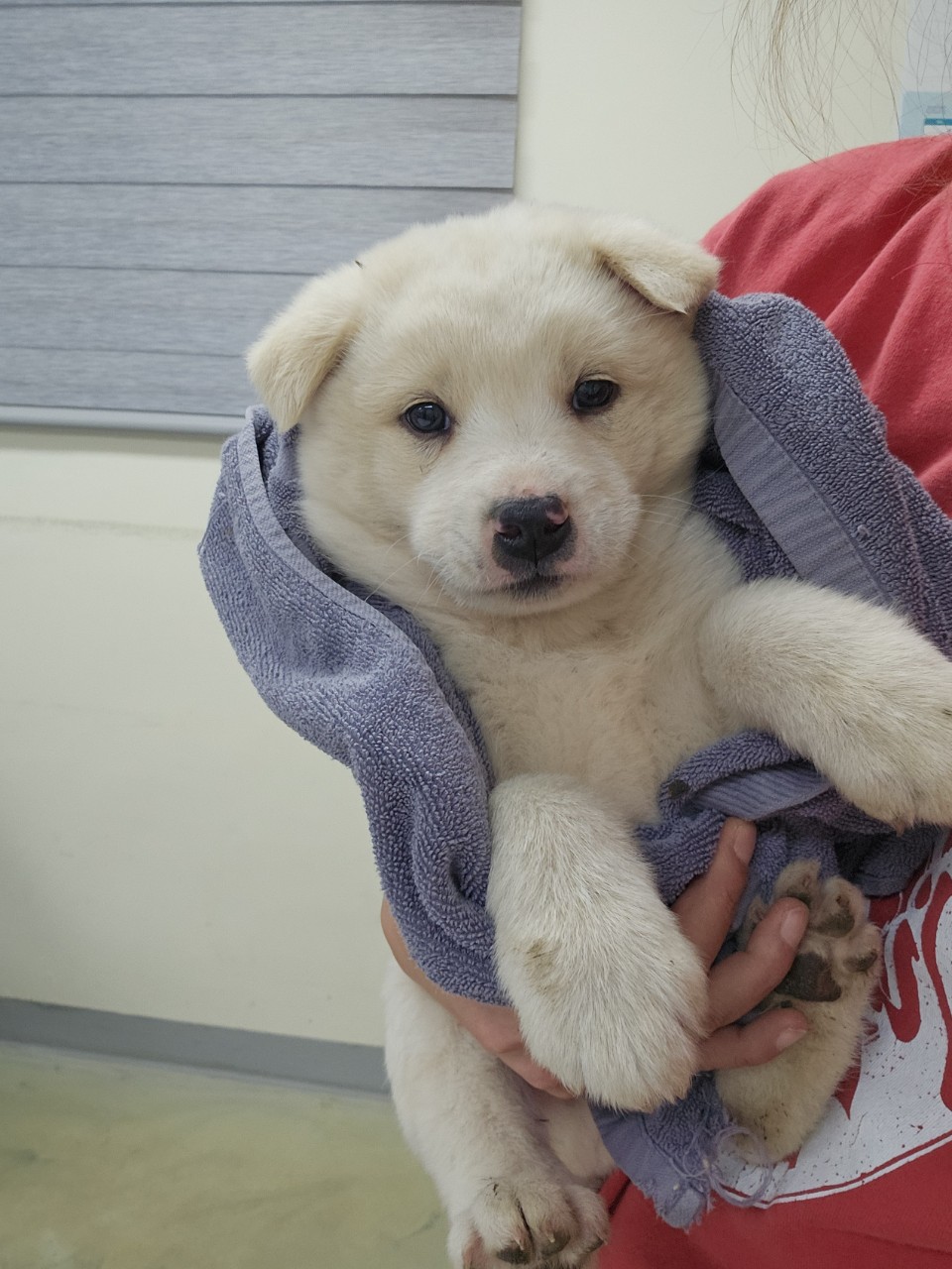 아산동물복지지원센터_444452202500079