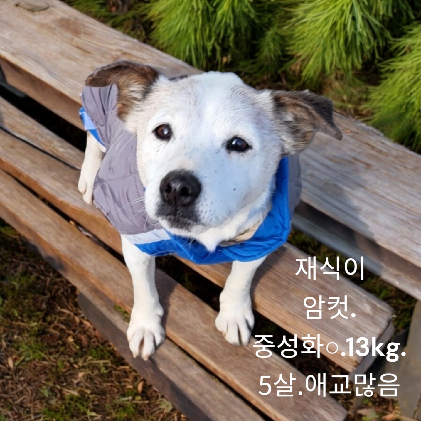 성주유기동물보호센터_447521202500049